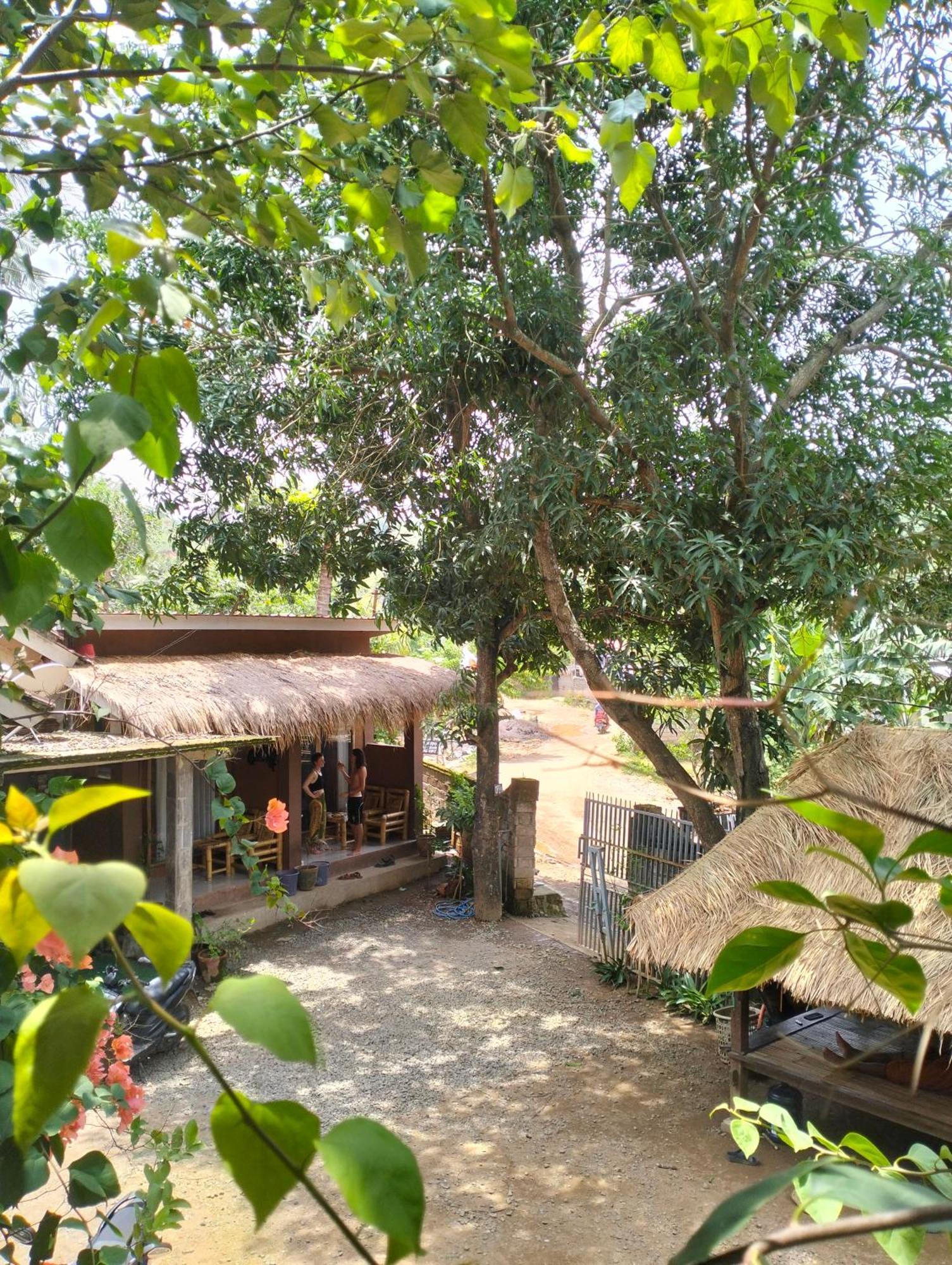 Fullmoon Homestay Kuta  Buitenkant foto