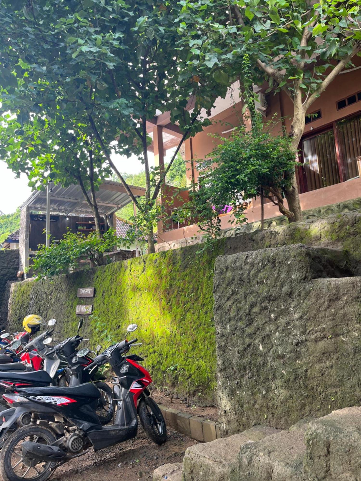 Fullmoon Homestay Kuta  Buitenkant foto